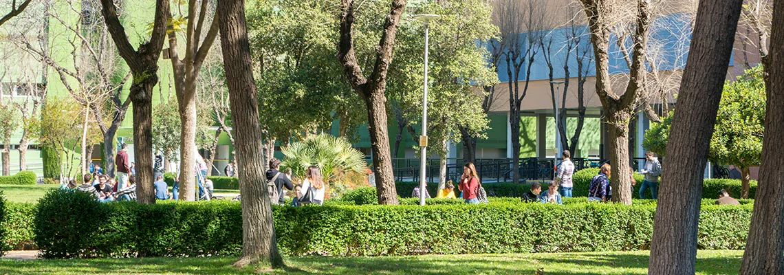 Estudiantes en una zona ajardinada de un campus de la Universidad de Sevilla